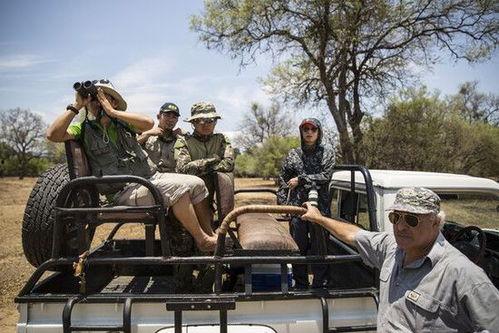 盗猎者图片,揭秘盗猎者的黑暗世界