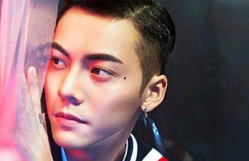 香港明星聪,闪耀舞台的璀璨星辉